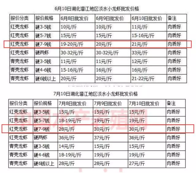 小龍蝦遭遇5年來(lái)最嚴重“斷供” 一個(gè)月漲價(jià)近50%